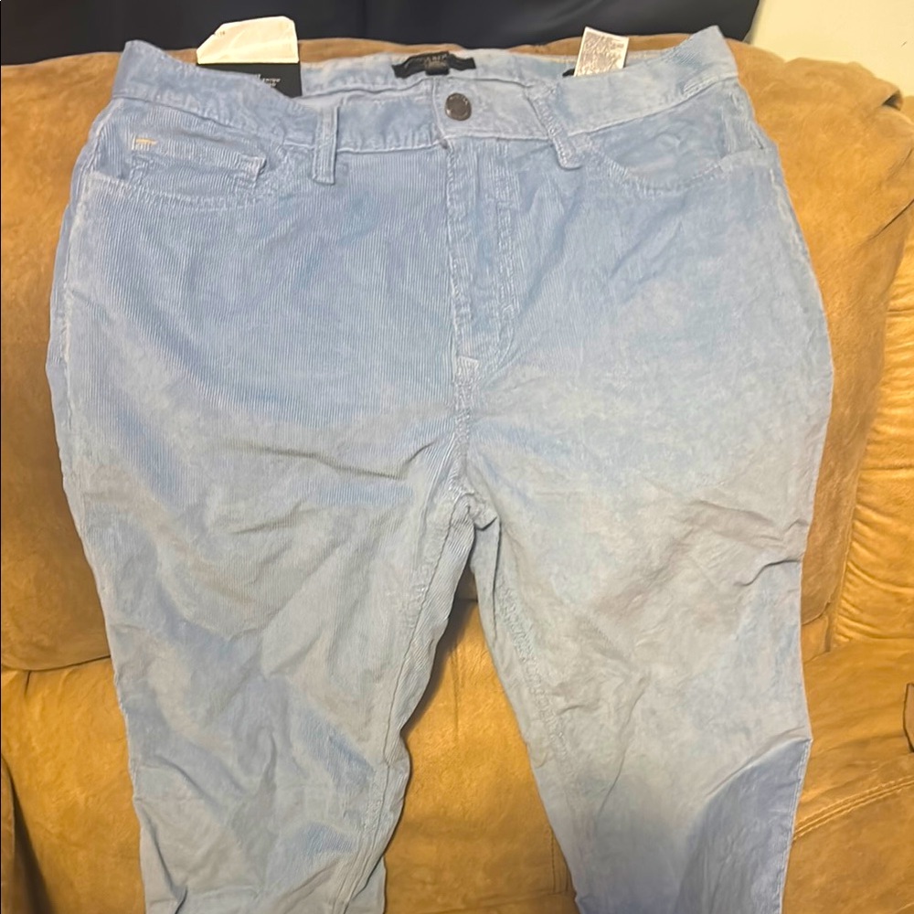 Men’s Banana Republic Light Blue Corduroy Pants